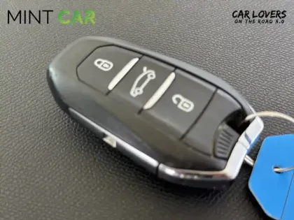 Photo 29 DS Ds 7 DS7 Crossback BlueHDi 180 EAT8