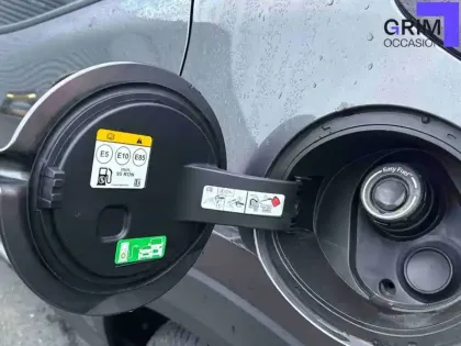 Photo 13 Ford Puma  1.0 Flexifuel 125 ch S&S BVM6