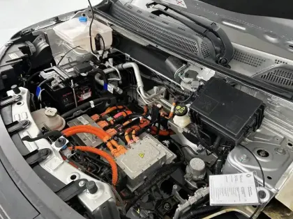 Photo 21 Dacia Spring  Achat Intégral