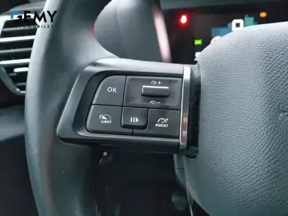 Photo 19 Citroën C4  PureTech 130 S&S BVM6