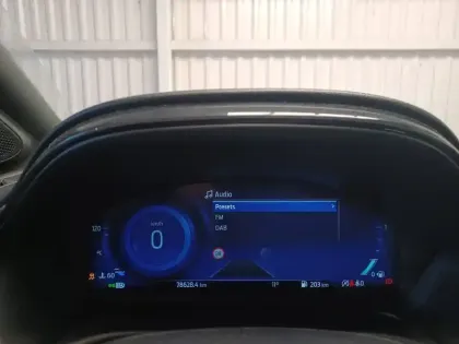 Photo 30 Ford Puma  1.0 Flexifuel 125 ch mHEV S&S BVM6