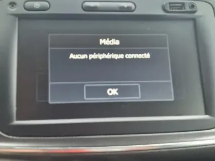 Photo 7 Dacia Sandero Stepway Blue dCi 95 -20