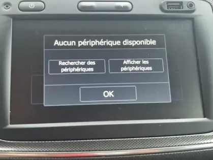 Photo 8 Dacia Sandero Stepway Blue dCi 95 -20