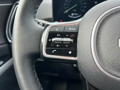 Photo 10 Kia Sorento  1.6 T-GDi 253ch PHEV Premium 4x4 7 places