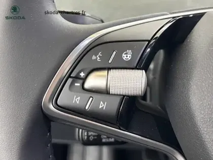 Photo 15 Skoda Enyaq  85