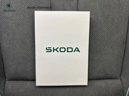 Photo 28 Skoda Enyaq  85