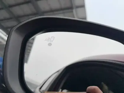 Photo 89 Dacia Duster  ECO-G 100 4x2