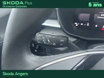 Photo 19 Skoda Fabia  1.0 TSI 116 ch EVO 2 DSG7