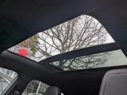 Photo 6 Ford Puma  1.5 EcoBoost 200ch S&S ST