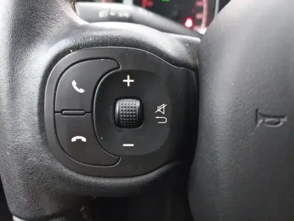 Photo 18 Fiat Panda  1.0 70 ch Hybride BSG S/S City Cross Trussardi