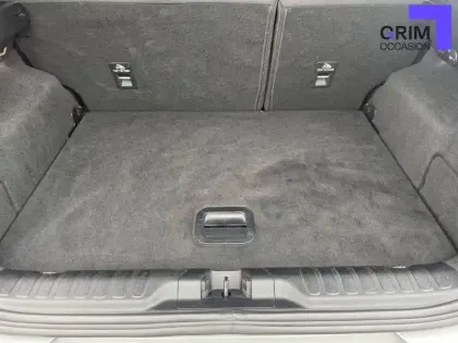 Photo 53 Ford Puma  1.0 Flexifuel 125 ch mHEV S&S BVM6