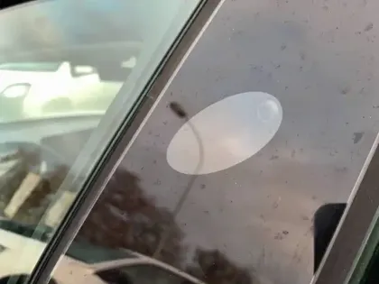 Photo 13 Tesla Model 3  Autonomie Standard Plus RWD