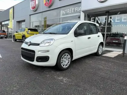 Photo Fiat Pandina Icône