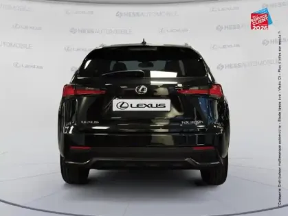 Photo 6 Lexus Nx  300h 4WD F SPORT MM19