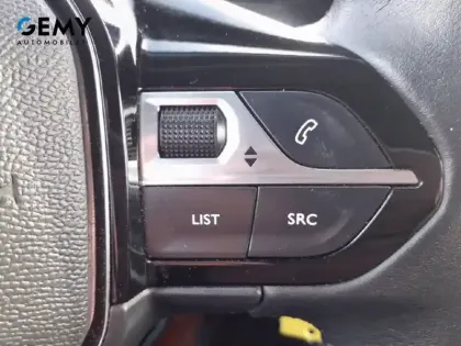 Photo 49 Peugeot 2008  PureTech 100 S&S BVM6