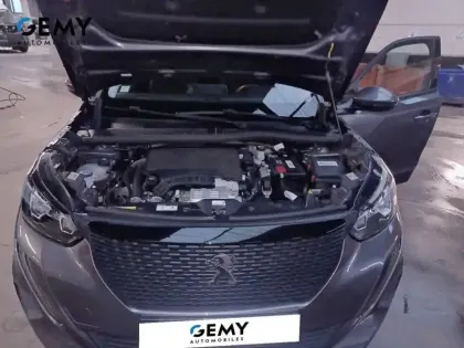 Photo 45 Peugeot 2008  PureTech 100 S&S BVM6