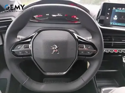 Photo 33 Peugeot 208 Gén. II Ph1 NG Style 5