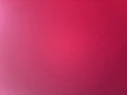 Photo 47 Peugeot 2008  PureTech 100 S&S BVM6