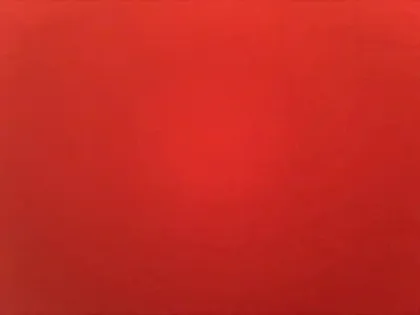 Photo 15 Peugeot 2008  PureTech 100 S&S BVM6