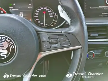 Photo 18 Alfa Romeo Stelvio  2.2 210 ch Q4 AT8 Executive