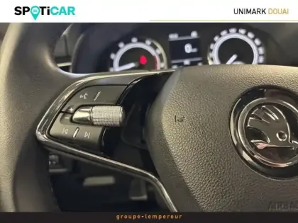 Photo 14 Skoda Kamiq  1.0 TSI Evo 110ch Ambition