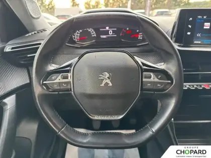 Photo 15 Peugeot 2008  BlueHDi 110 S&S BVM6