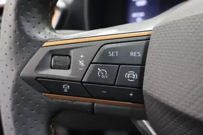 Photo 71 Cupra Formentor  2.0 TDI 150 ch