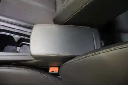 Photo 21 Cupra Formentor  2.0 TDI 150 ch