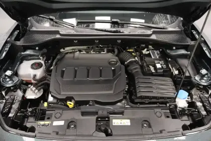 Photo 47 Cupra Formentor  2.0 TDI 150 ch