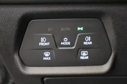 Photo 33 Cupra Formentor  2.0 TDI 150 ch