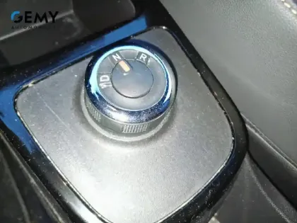 Photo 11 Dacia Spring  Achat Intégral