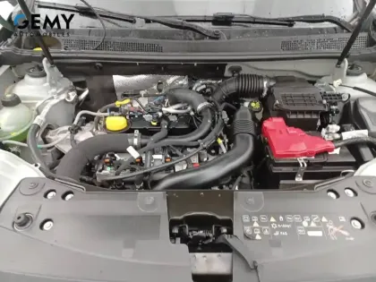 Photo 14 Dacia Duster  ECO-G 100 4x2