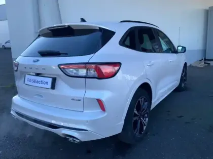 Photo 26 Ford Kuga Gén. III Ph1 ST-Line Business 5