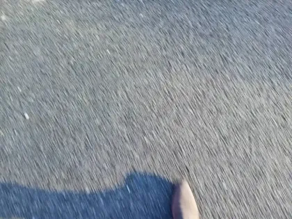 Photo 15 Opel Insignia  Sports Tourer 1.6 D 136 ch ECOTEC