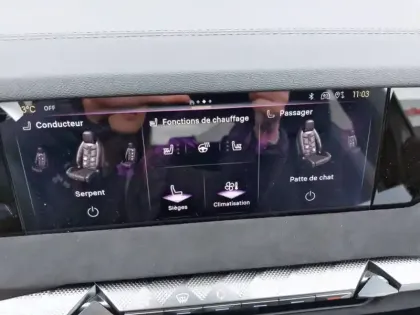 Photo 54 DS DS 4 Gén. II Ph2 Etoile 5