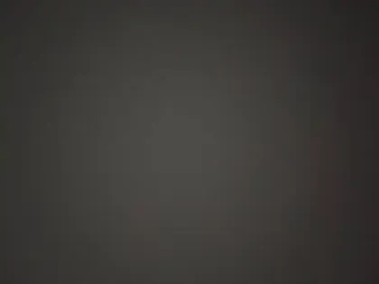 Photo 17 Citroën C4  PureTech 100 BVM6