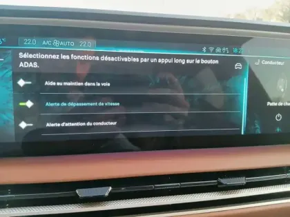 Photo 22 DS DS 8 DS N°8 350 ch AWD Long Range