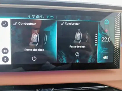 Photo 17 DS DS 8 DS N°8 350 ch AWD Long Range