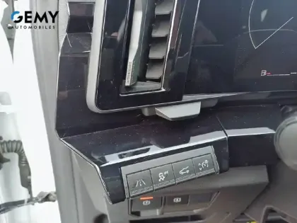 Photo 17 Renault Austral  mild hybrid 160 auto