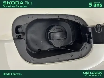 Photo 26 Volkswagen Polo  1.0 TSI 95 S&S DSG7