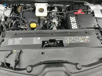 Photo 37 Renault Kangoo  VAN BLUE DCI 95