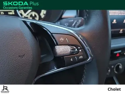 Photo 20 Skoda Fabia  1.0 MPI 80 ch BVM5