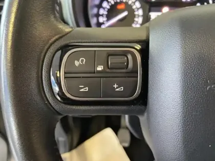 Photo 18 Citroën Berlingo XTR 7 PLACES