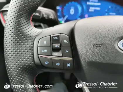 Photo 22 Ford Puma  1.0 Flexifuel 125 ch mHEV S&S BVM6