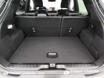 Photo 12 Ford Puma  1.0 Flexifuel 125 ch mHEV S&S BVM6