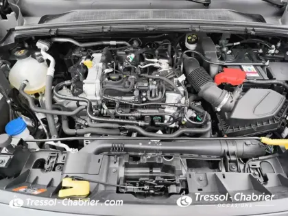 Photo 26 Ford Puma  1.0 Flexifuel 125 ch mHEV S&S BVM6