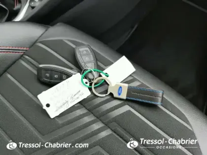 Photo 27 Ford Puma  1.0 Flexifuel 125 ch mHEV S&S BVM6