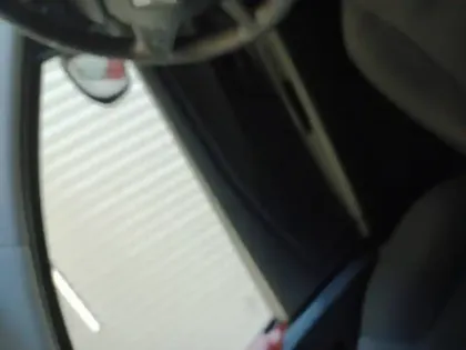 Photo 31 Dacia Sandero  ECO-G 100