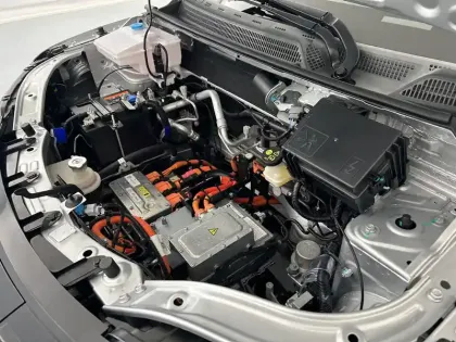 Photo 22 Dacia Spring  Achat Intégral