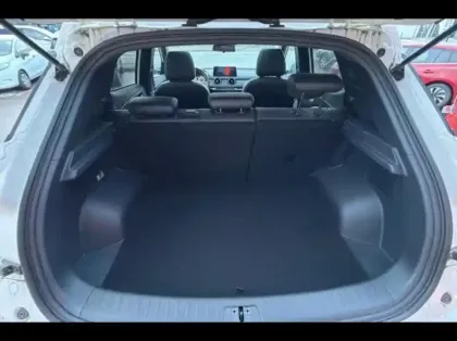 Photo 11 Seres 3  Electric 16ch Luxe